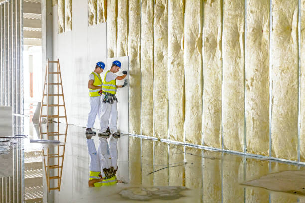 Types of Insulation We Offer in Apple Mountain Lake, VA